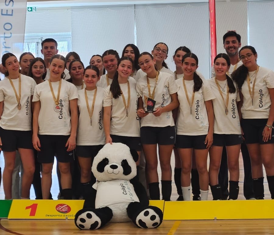 campeas voleibol